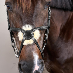 Briglia Capezzina Incrociata Intrecciata New English Collection Dy'on Nero