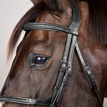 Briglia Capezzina Incrociata Intrecciata New English Collection Dy'on Nero