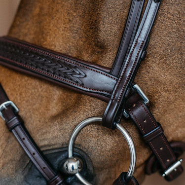 Museruola combinata intrecciata con Pull pack Dy'on New English Collection Marrone Museruola combinata intrecciata con Pull pack Dy'on New English Collection Marrone