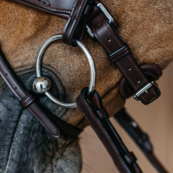 Museruola combinata intrecciata con Pull pack Dy'on New English Collection Marrone Museruola combinata intrecciata con Pull pack Dy'on New English Collection Marrone