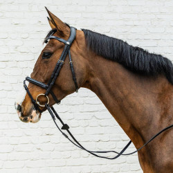 Briglia con capezzina combinata Dy'on in morbida pelle Nero