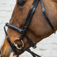 Briglia con capezzina combinata media in morbida pelle Dy'on Nero Briglia con capezzina combinata media in morbida pelle Dy'on Nero