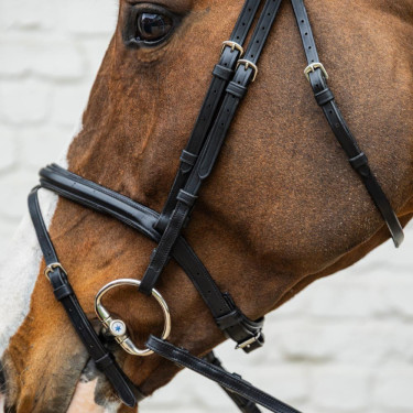 Briglia con capezzina combinata media in morbida pelle Dy'on Nero