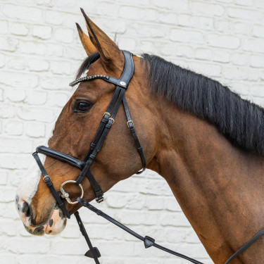 Briglia con capezzina combinata media in morbida pelle Dy'on Nero