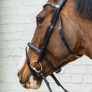 Briglia con capezzina combinata media in morbida pelle Dy'on Nero
