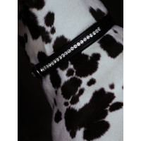 Collare per cane Equestrian Stockholm con strass Champagne Beige