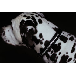 Collare per cane Equestrian Stockholm con strass Nero edizione