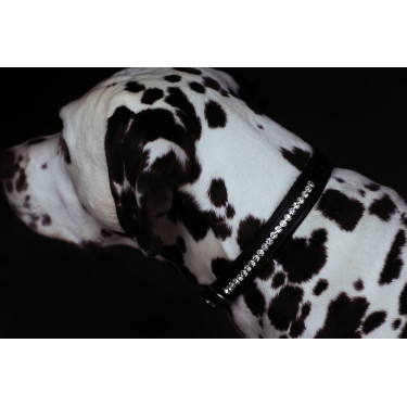 Collare per cane Equestrian Stockholm con strass Nero edizione