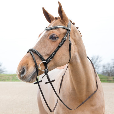 Redini cinghia Horze Slender Marrone