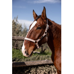 Capezza Hardwick B Vertigo Rosa seppia