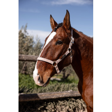 Capezza Hardwick B Vertigo Rosa seppia