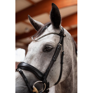 Capezzina slim Horze Delémont Caviale nero Capezzina slim Horze Delémont Caviale nero