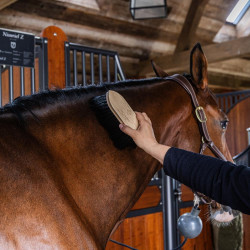Spazzola classica in legno lunga morbida Grooming Deluxe Nero