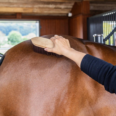 Spazzola dura Wooden Classic Medium Grooming Deluxe Marrone Spazzola dura Wooden Classic Medium Grooming Deluxe Marrone