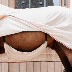 Coperta antimosche Comfort Classic con copricollo e pancia Kentucky Beige / bordeaux