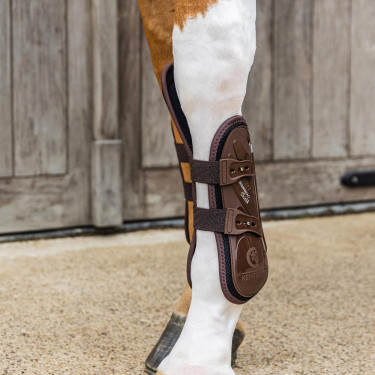 Stinchiere anteriori con protezione del carpo elastica Kentucky Marrone