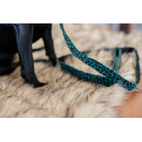 Guinzaglio per cane Leopard Kentucky Verde abete