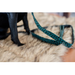 Guinzaglio per cane Leopard Kentucky Verde abete