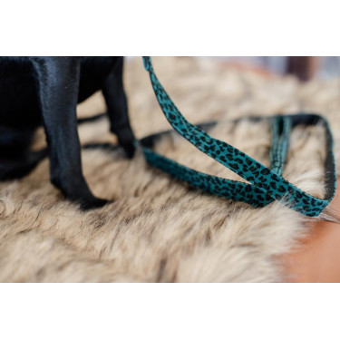 Guinzaglio per cane Leopard Kentucky Verde abete