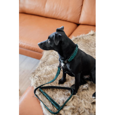 Guinzaglio per cane Leopard Kentucky Verde abete
