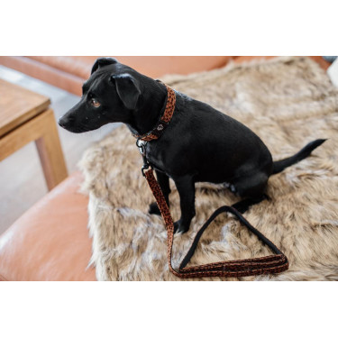 Guinzaglio per cane Leopard Kentucky Marrone leopardo