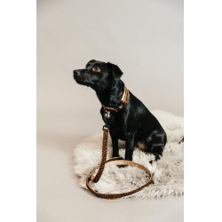 Guinzaglio per cane Leopard Kentucky Marrone leopardo