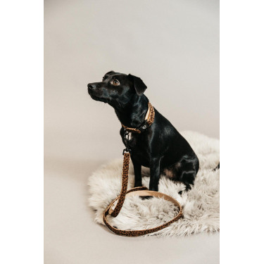 Guinzaglio per cane Leopard Kentucky Marrone leopardo