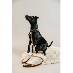 Guinzaglio per cane Leopard Kentucky Marrone leopardo