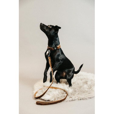 Guinzaglio per cane Leopard Kentucky Marrone leopardo