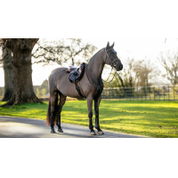 Tappetino Hunter LeMieux Merino+ Marrone / marrone Tappetino Hunter LeMieux Merino+ Marrone / marrone