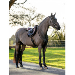 Tappetino Hunter LeMieux Merino+