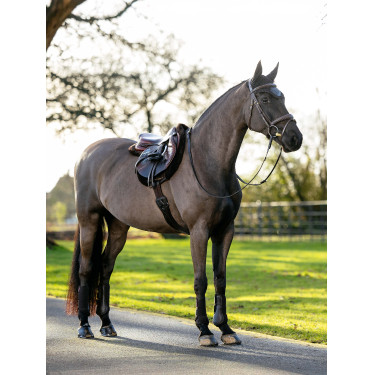 Tappetino Hunter LeMieux Merino+