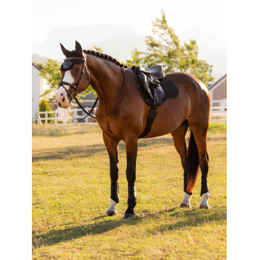 Sottosella LeMieux GP Quadrato Cotone Nero Sottosella LeMieux GP Quadrato Cotone Nero