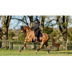 Tappetino LeMieux ProSport Dressage SQ Plain Standard Strap Nero