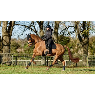 Tappetino LeMieux ProSport Dressage SQ Plain Standard Strap Nero