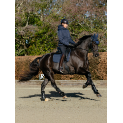 Tappetino LeMieux ProSport Dressage SQ Plain Standard Strap Marina Blu marino