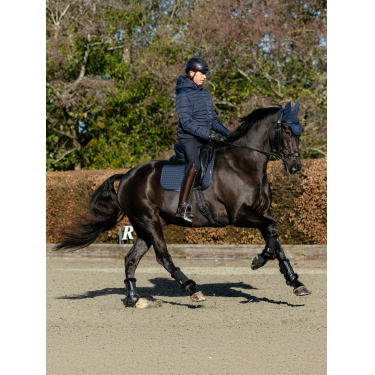 Tappetino LeMieux ProSport Dressage SQ Plain Standard Strap Marina Blu marino