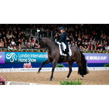 Tappetino LeMieux ProSport Dressage SQ Plain Standard Strap Bianco