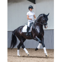 Tappetino LeMieux ProSport Dressage SQ Plain Standard Strap Bianco modello vecchio