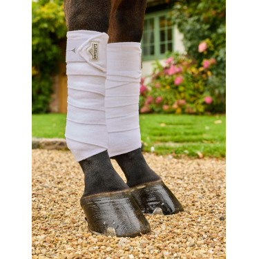 Fasce da polo LeMieux Elevate Bianco
