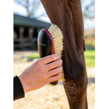 Spazzola dura LeMieux Nero