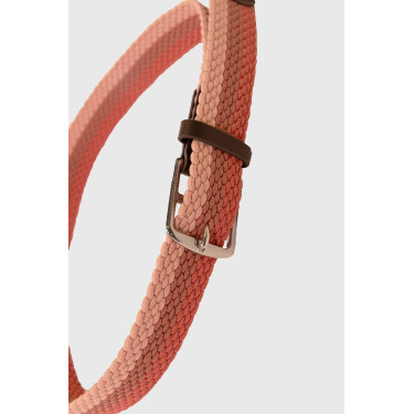 Cintura Harcour Brume Pompelmo