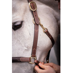 Capestro in cuoio con 3 moschettoni Paddock Sports Avana Marrone Capestro in cuoio con 3 moschettoni Paddock Sports Avana Marrone