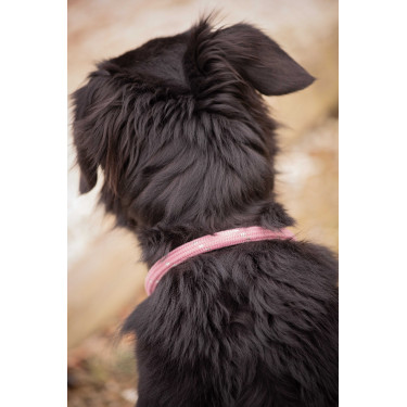 Collare per cane Penelope Billie Rosa / lurex