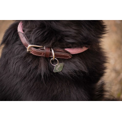 Collare per cane Penelope Billie Rosa / lurex
