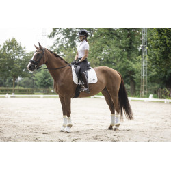 Gallone rimovibile per casco Lami-Cell Glitter Nero