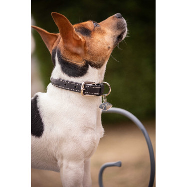 Collare per cane Pénélope Olie Avana Marrone