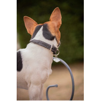 Collare per cane Pénélope Olie Nero