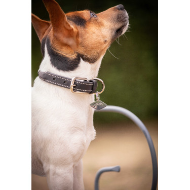 Collare per cane Pénélope Olie Avana Marrone