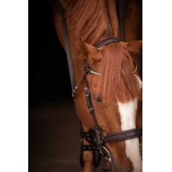 Briglia Pénélope Daily Strass SR Avana Marrone